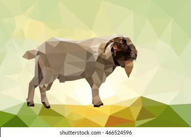 Low polygon of white goat on green mountain