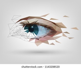 Low polygonal human eye is scattered, vision