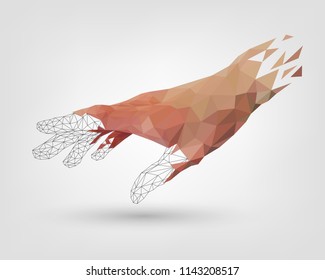 Low polygonal human hand is scattered, the model of the hand