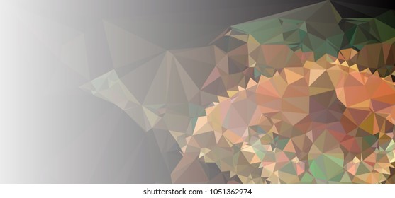 Low polygonal mosaic layout for horizontal banner, label, tag, flyer and abstract web background. Copy space. Vector clip art.
