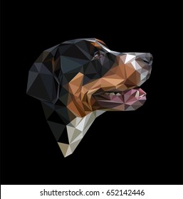 Low polygonal portrait of the Greater Swiss Mountain Dog, known as the GSMD or Swissy. Vector image of dog head on black background.