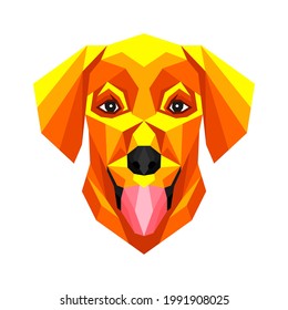 Low polygonal portrait of orange colored dog. Vector image of dog head on white background.