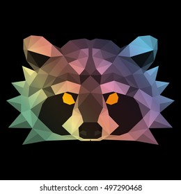 Low polygonal raccoon. Nice geometric vector illustration