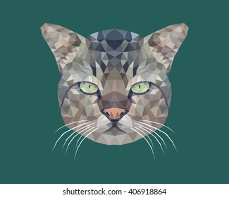 Low Polygonal Vector: A portrait of cat isolated on green background 