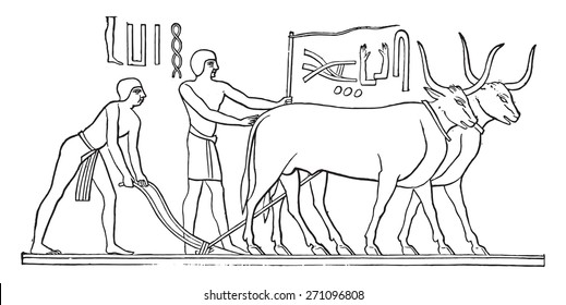 Low relief to the tombs of Memphis, vintage engraved illustration. Industrial encyclopedia E.-O. Lami - 1875. 