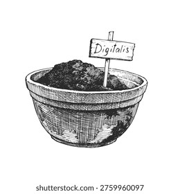 Low Terracotta Pot Vector Hand Drawn Salt Stains Clay Planter Soil Wooden Label Sketch Abandoned Greenhouse Garden Marker Vintage Pottery