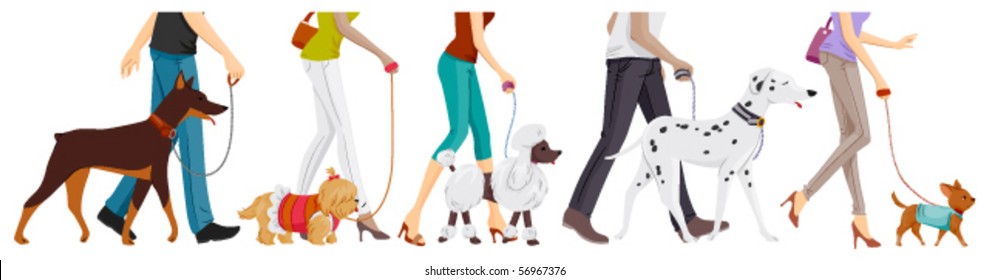 Lower Body of People walking Dogs - Vector