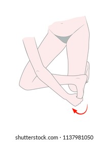 The lower half of the woman's body in an exercise pose for the development of flexibility of the toes. Vector. Isolated on white background