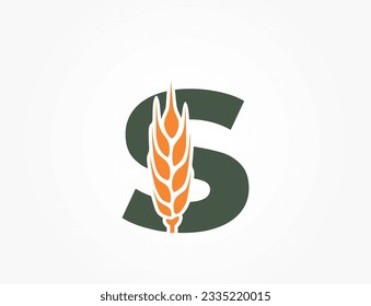 letra minúscula s con oreja de trigo. logotipo del alfabeto de cosecha y alimentos orgánicos. agricultura de cereales y diseño agrícola. imagen de color vectorial aislado