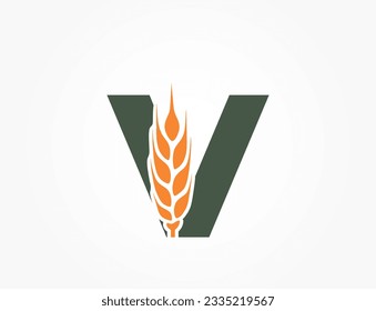 lowercase letter v with wheat ear. harvest and organic food alphabet logotype. cereal farming and agriculture design. isolated vector color image