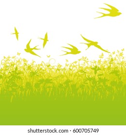 Low-flying swallows