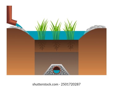 Low-impact stormwater management - scheme of raingarden, or bioretention garden