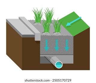 Gestión de aguas pluviales de bajo impacto: esquema de jardín de lluvia o jardín de biorretención, diagrama con rebanada