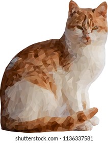 lowpoly cat illustration