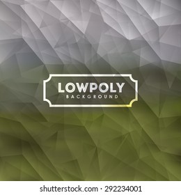 Lowpoly design over colorful background, vector illustration 