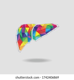 Low-poly images of liver in multiple colors vector illustration