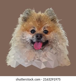 Low-poly modeling. The image of a spitz-dog.