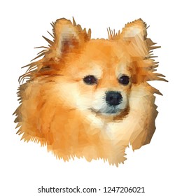 Low-poly modeling. The image of a spitz-dog  isolated on white background. Vector illustration