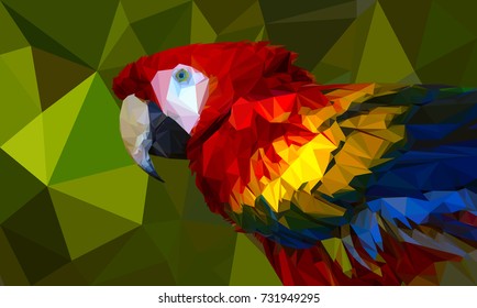 Low-poly parrot. Colorful vector illustration for your design.