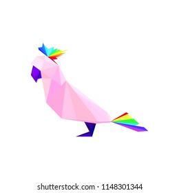 Low-poly parrot rainbow