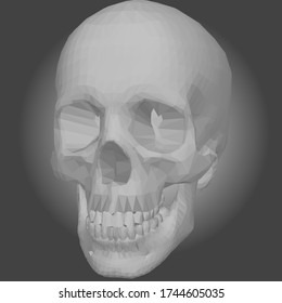 lowpoly skull 3d illustration vector