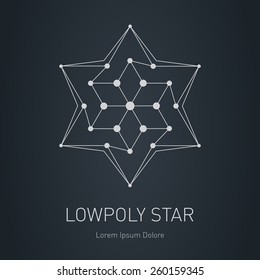 The low-poly star. Modern stylish logo. Lowpoly Design element with rhombus. Vector logotype template. Grid structure.