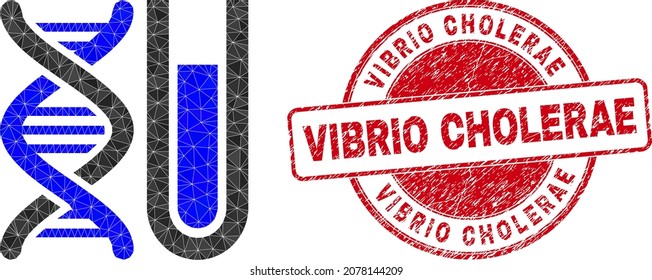 Low-Poly triangulated DNA testtube symbol illustration, and Vibrio Cholerae unclean stamp. Red stamp seal includes Vibrio Cholerae title inside round form. DNA testtube icon filled with triangles.