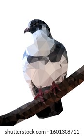 Low-poly vector illustration Pigeon standing on a branch Turned to look out to the side.