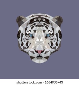 Lowpoly Vector Tiger animal illstration  Background