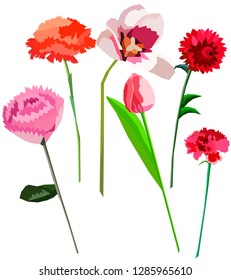 low-water flowers. A set of 6 different color images