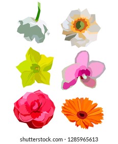 low-water flowers. A set of 6 different color images