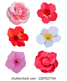 low-water flowers. A set of 6 different color images