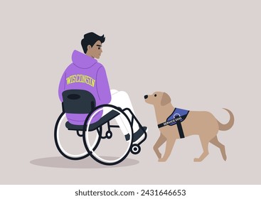 Loyal Service Dog Assisting Wheelchair User in Everyday Life, Un labrador ayuda atentamente a su dueño, mostrando el vínculo de apoyo y compañerismo