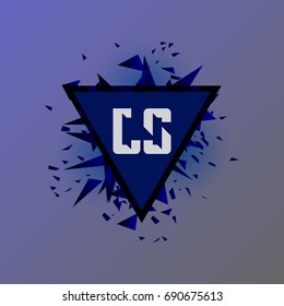 LS Logo
