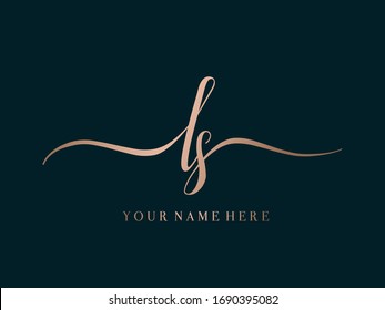 Ls Monogram Logo Typographic Icon Calligraphic Stock Vector Royalty Free Shutterstock