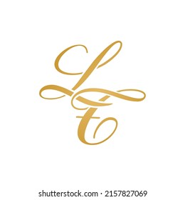 LT initial logo design vector stock