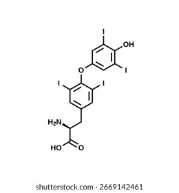 L-thyroxine, T4 structural formula, vector illustration