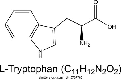 L-Tryptophan amino acid molecule chemical formula