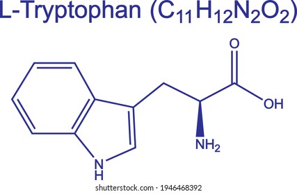 L-Tryptophan amino acid molecule chemical formula