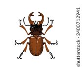 Lucanus cervus, European or greater stag beetle. Horned bug, realistic shield insect, arthropod animal. Exotic nature, forest fauna. Flat isolated hand drawn vector illustration on white background
