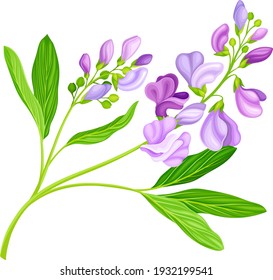 347,529 imágenes de Flores moradas vector - Imágenes, fotos y vectores de  stock | Shutterstock