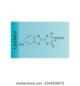 Luciferina diagrama de estrutura esquelética.Molécula orgânica molécula composta ilustração científica.