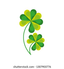 luck clovers leafs isolated icon