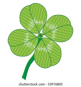 A luck four leaf vector illustration isolated on white.