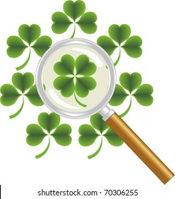 luck search -  four leaf of clover or shamrock under  magnifying glass