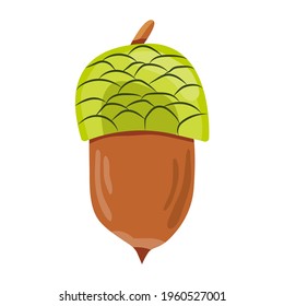 Lucky acorn. Good luck symbol. Isolated item on white background. Vector cartoon illustration.