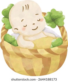 Clipart do chuveiro do bebê da sorte, o trevo bonito e o pacote PNG recém-nascido