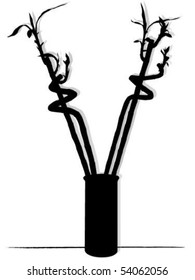 Lucky bamboo