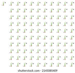 Lucky bamboo tree pot pattern indoor