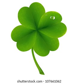 Lucky Clover, Isolated On White Background, Vector Illustration